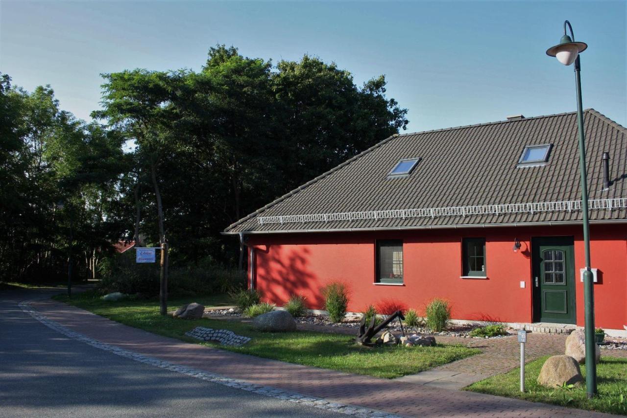 Ferienwohnung-Moewennest Глове Екстериор снимка